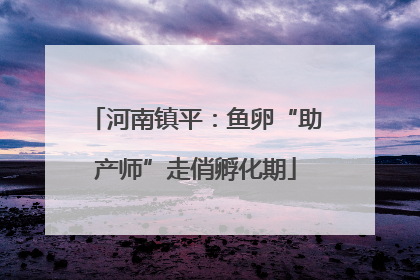河南镇平：鱼卵“助产师”走俏孵化期
